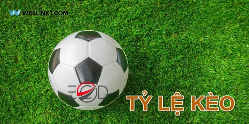 Tìm hiểu về tỷ lệ kèo nhà cái