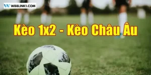 Tỷ Lệ Kèo Châu Âu Xanh Chín Tại W88 - Mẹo Bắt Kèo Ăn Đậm